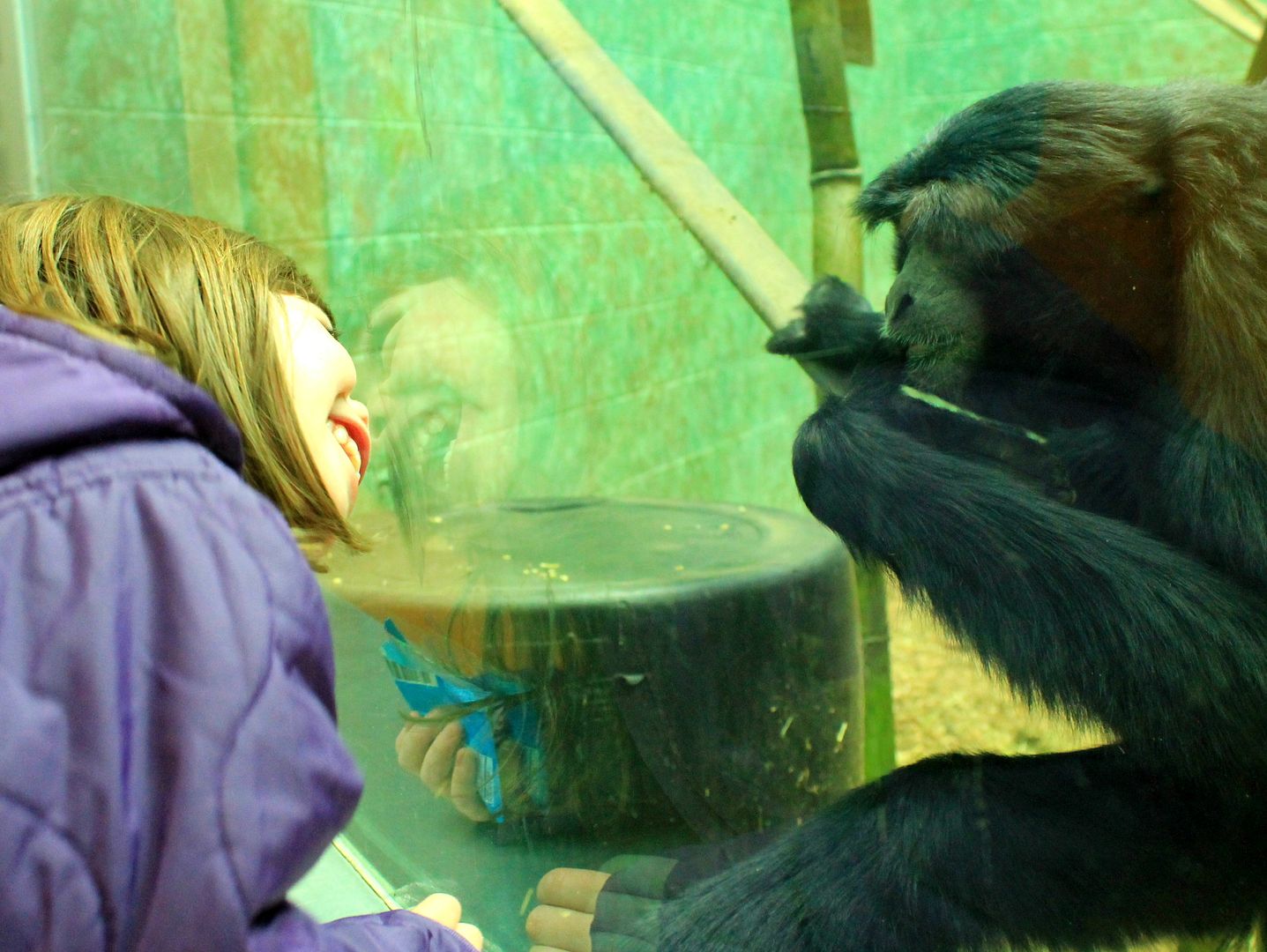 Louisville Zoo Membership Deal Kentucky Family Fun